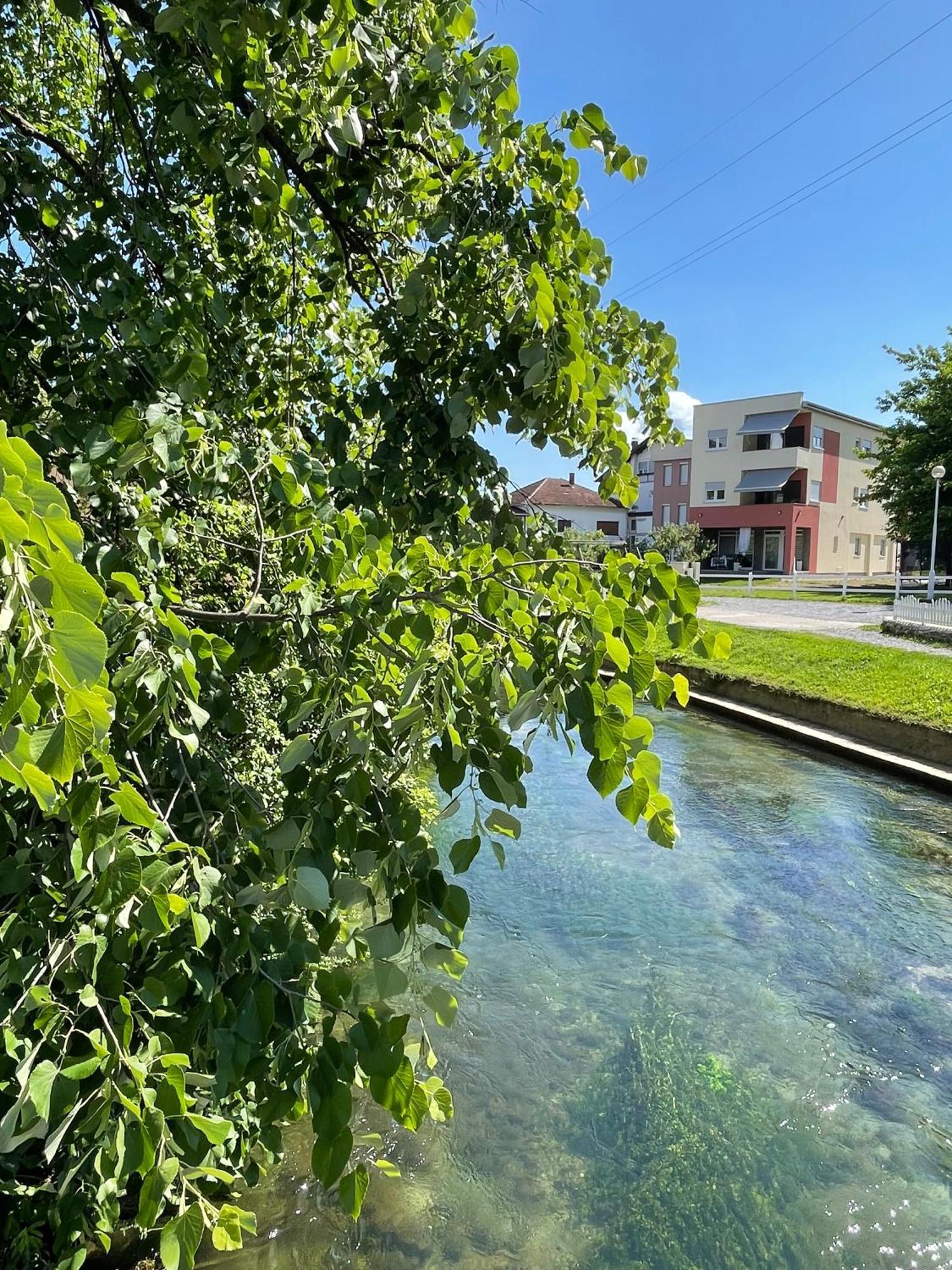 Apartment Vila Tara Bihać Exterior foto